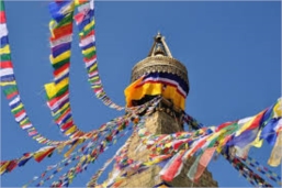 Bibek profile picture