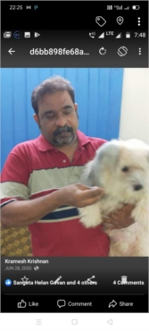 Ramesh Krishnan profile picture