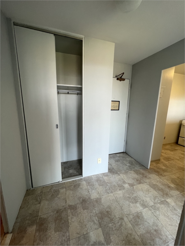 Indian Roommates in Chicago Paying Guest (PG) Flatmates Find