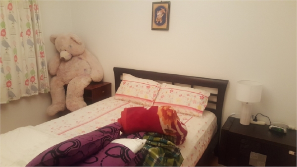 Sri room photo