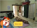 Moin room photo