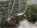 Geetika Sharma room photo