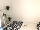 Expats SG room photo
