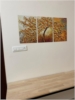 Taran Shah room photo