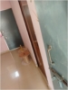 PRAVEEN CHAUDHARY room photo