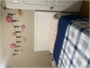 Ruchi Bhadauria room photo
