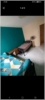 Sumi room photo