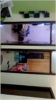 Amol Shinde room photo