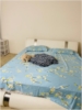Vijay Janarthanan room photo